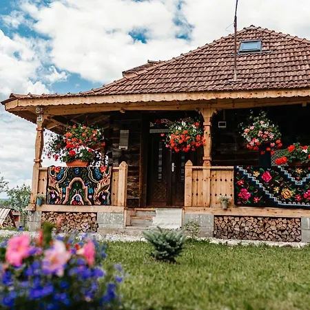Casa De La Parau Viseu de Sus Exterior photo